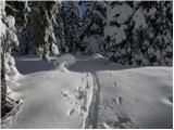 Grahovše - Planina Zgornja Konjščica